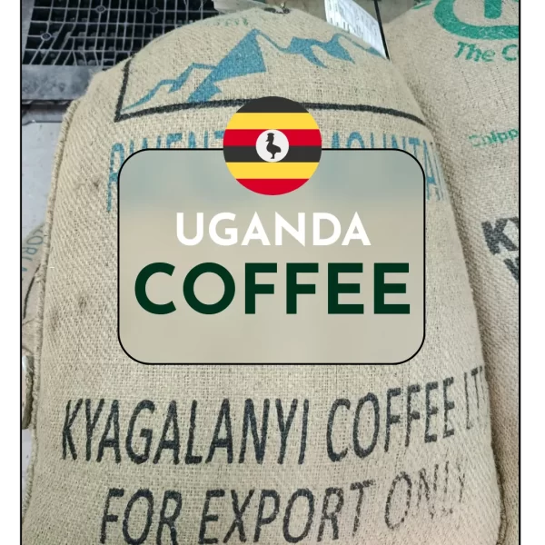 Uganda ARABICA RWENZORI WASHED A