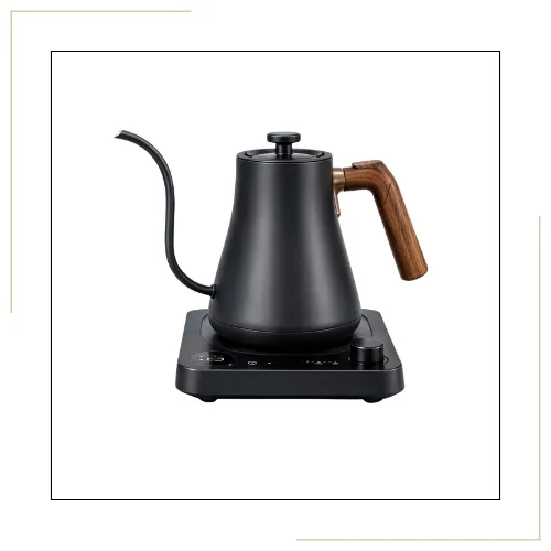 Electric kettle BrewKit DK521