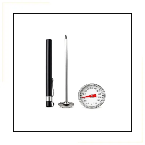 Thermometer DS251
